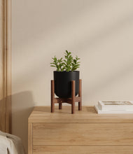 Load image into Gallery viewer, Stone Black stand:walnut
