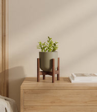 Load image into Gallery viewer, Sage Green stand:walnut