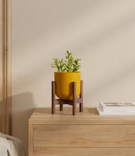 Load image into Gallery viewer, Sunset Orange stand:walnut