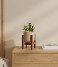 Load image into Gallery viewer, Sandy Pink stand:walnut
