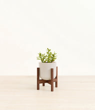 Load image into Gallery viewer, Snowdrift White stand:walnut