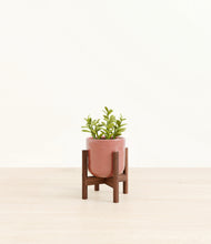 Load image into Gallery viewer, Hammered Rose Pink stand:walnut