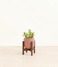 Load image into Gallery viewer, Striped Rose Pink stand:walnut