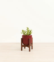 Load image into Gallery viewer, Striped Cherry Red stand:walnut