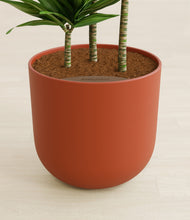 Load image into Gallery viewer, Earth Red stand:all