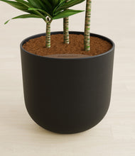 Load image into Gallery viewer, Stone Black stand:all