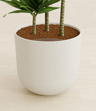 Load image into Gallery viewer, Natural Bamboo stand:all