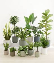 Load image into Gallery viewer, Countryside*****Profile