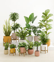 Load image into Gallery viewer, Evening Sky stand:five_stands