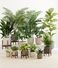 Load image into Gallery viewer, Woodland stand:five_stands