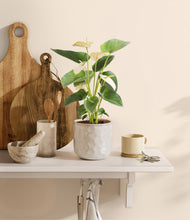 Load image into Gallery viewer, Hammered Ivory