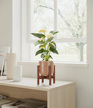 Load image into Gallery viewer, Hammered Peach Pink stand:walnut