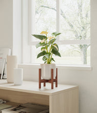 Load image into Gallery viewer, Snowdrift White stand:walnut