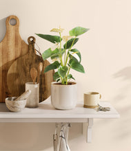 Load image into Gallery viewer, Snowdrift White