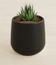 Load image into Gallery viewer, Black stand:all