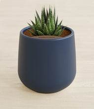 Load image into Gallery viewer, Deep Navy stand:all