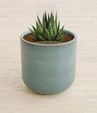 Load image into Gallery viewer, Reactive Aqua stand:all