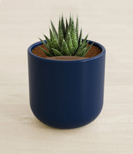 Load image into Gallery viewer, Twilight Blue stand:all