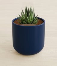 Load image into Gallery viewer, Twilight Blue stand:all