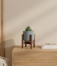 Load image into Gallery viewer, Misty Blue stand:walnut