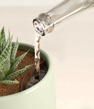 Load image into Gallery viewer, Turquoise stand:all