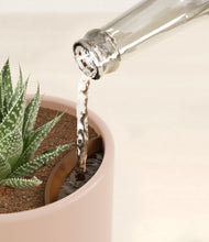 Load image into Gallery viewer, Sandy Pink stand:all