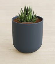 Load image into Gallery viewer, Iron Gray stand:all