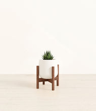 Load image into Gallery viewer, White stand:walnut