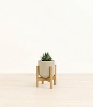 Load image into Gallery viewer, Sage Green stand:bamboo