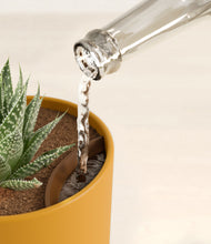 Load image into Gallery viewer, Sunset Orange stand:all