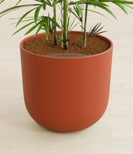 Load image into Gallery viewer, Earth Red stand:all