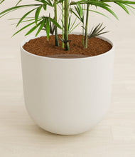 Load image into Gallery viewer, Natural Bamboo stand:all