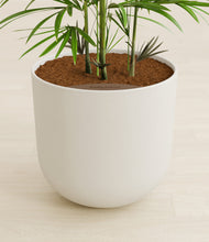 Load image into Gallery viewer, Natural Bamboo stand:all