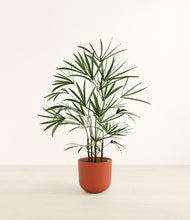 Load image into Gallery viewer, Earth Red*****Profile