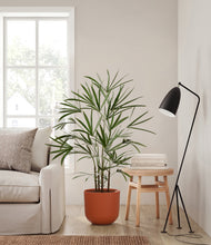 Load image into Gallery viewer, Earth Red