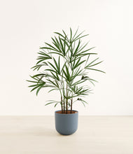 Load image into Gallery viewer, Iron Gray*****Profile