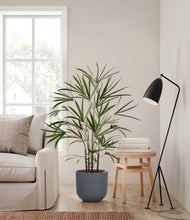 Load image into Gallery viewer, Iron Gray