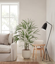 Load image into Gallery viewer, Natural Bamboo