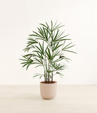 Load image into Gallery viewer, Sandy Pink*****Profile