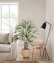 Load image into Gallery viewer, Sandy Pink