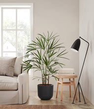 Load image into Gallery viewer, Stone Black