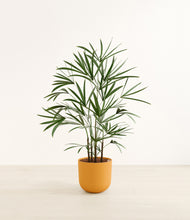 Load image into Gallery viewer, Sunset Orange*****Profile