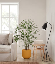 Load image into Gallery viewer, Sunset Orange