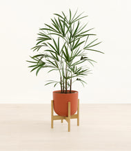 Load image into Gallery viewer, Earth Red stand:bamboo