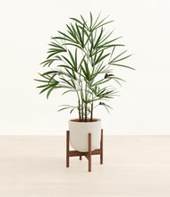 Load image into Gallery viewer, Natural Bamboo stand:walnut