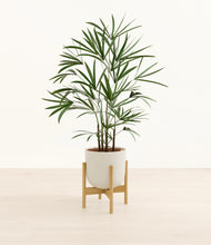 Load image into Gallery viewer, Natural Bamboo stand:bamboo
