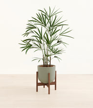 Load image into Gallery viewer, Sage Green stand:walnut