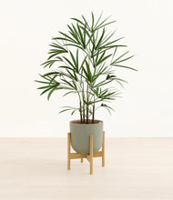 Load image into Gallery viewer, Sage Green stand:bamboo
