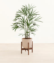 Load image into Gallery viewer, Sandy Pink stand:walnut