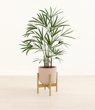 Load image into Gallery viewer, Sandy Pink stand:bamboo